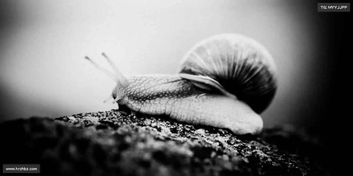 <strong>milan米兰</strong>🏆追逐梦想的路上，汗水是最亮的勋章！体育首页，为你的热爱撑腰！